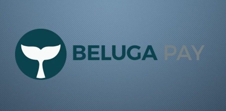 Обзор и отзывы о Beluga Pay ICO
