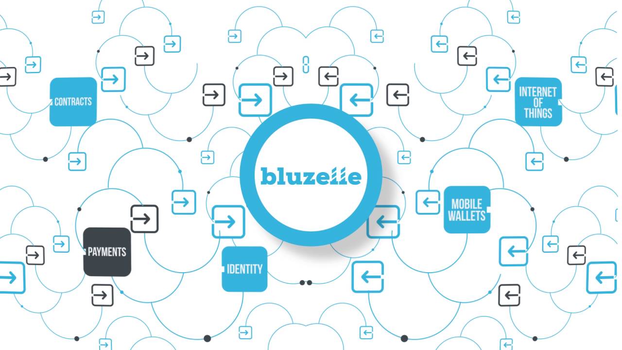 Обзор и отзывы о Bluzelle ICO