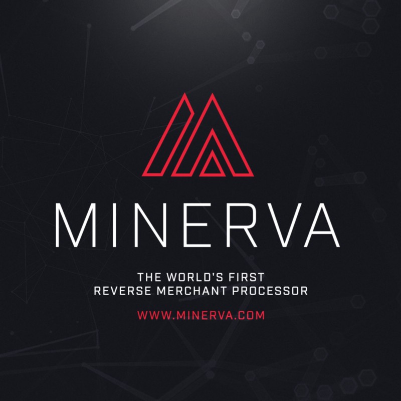 Обзор и отзывы о Minerva ICO