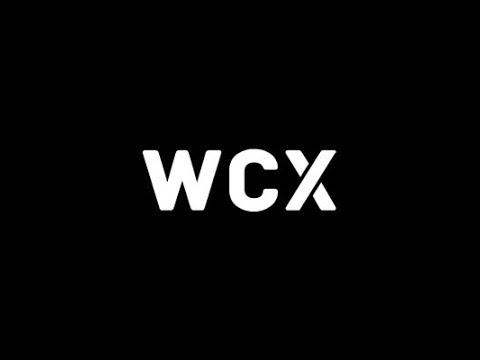 Обзор и отзывы Wcex ICO