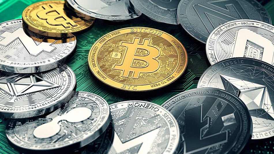Что такое криптовалютный портфель и как сформировать его новичку