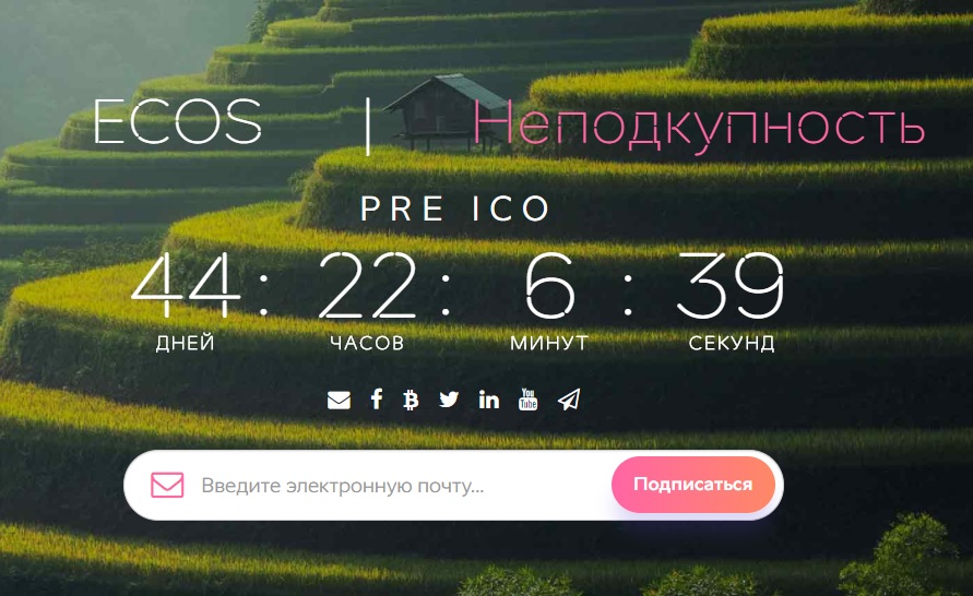 Обзор и отзывы о Ecos ICO