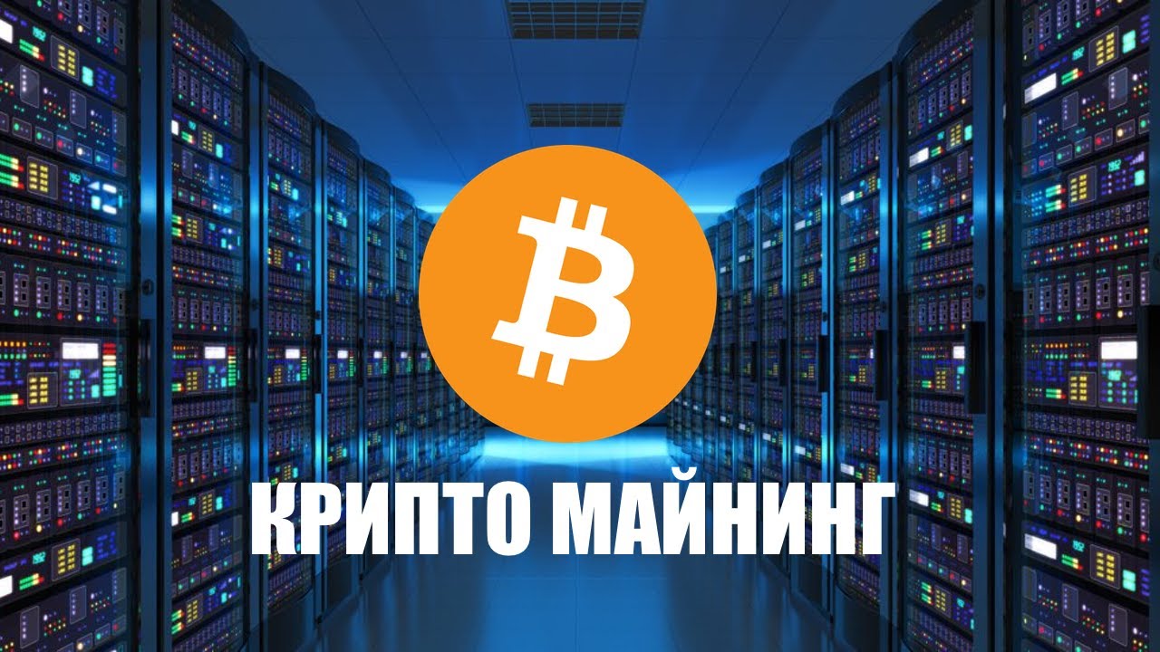 Индустриальный парк "Экран" в Новосибирске займется майнингом криптовалюты