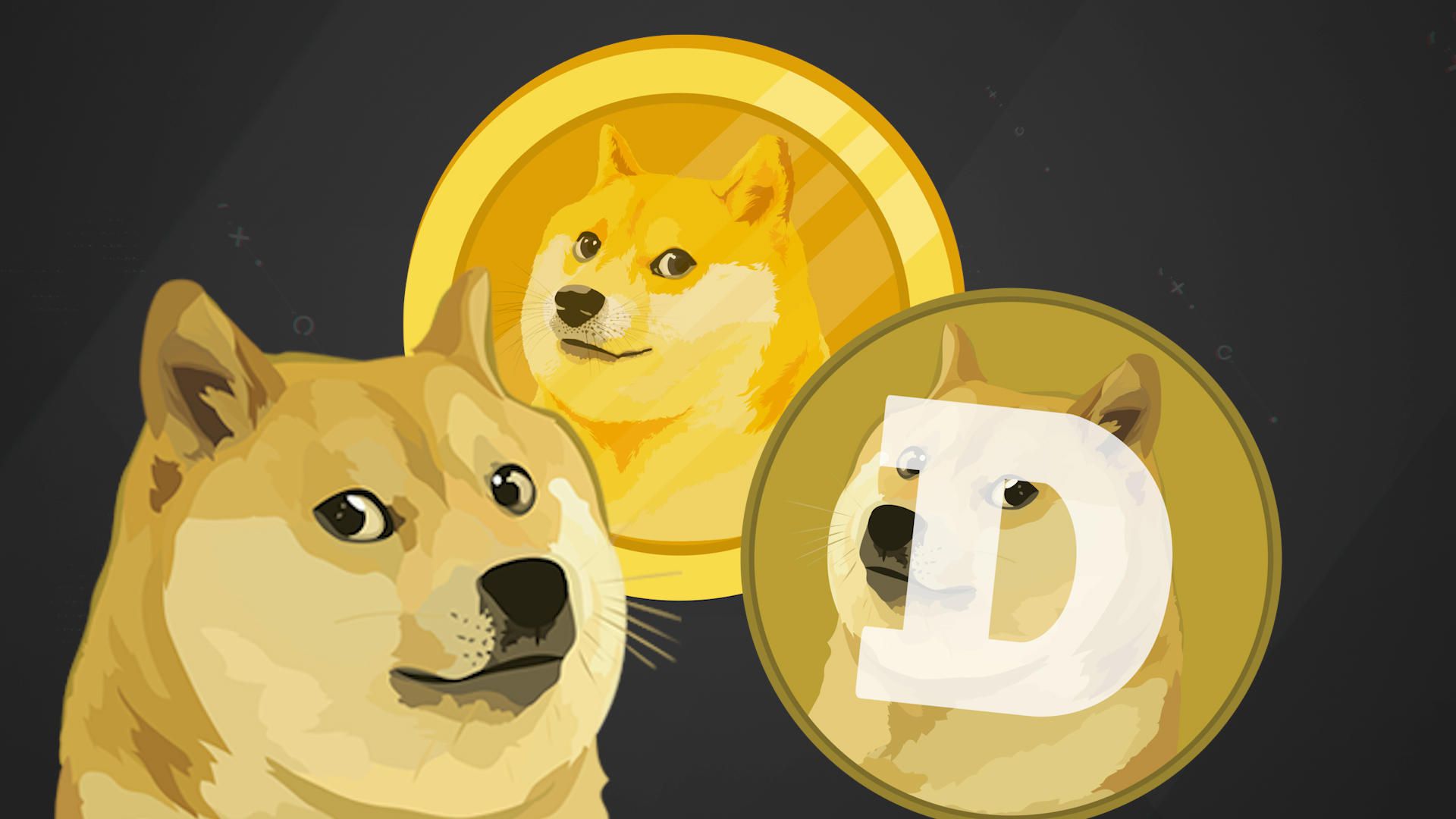 Обзор криптовалюты Dogecoin (DOGE)