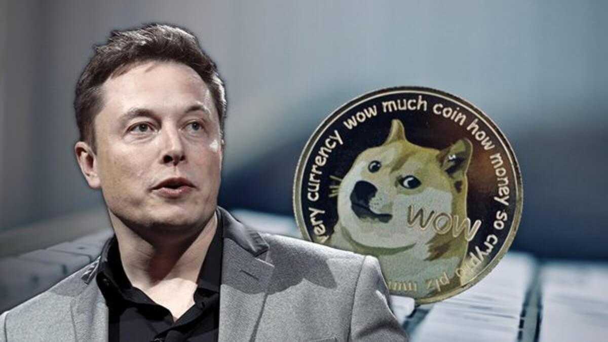 Илон Маск собрал «небольшие фермы» для майнинга DogeCoin