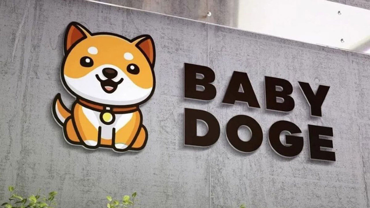 Где купить криптовалюту Baby Doge (BABYDOGE)