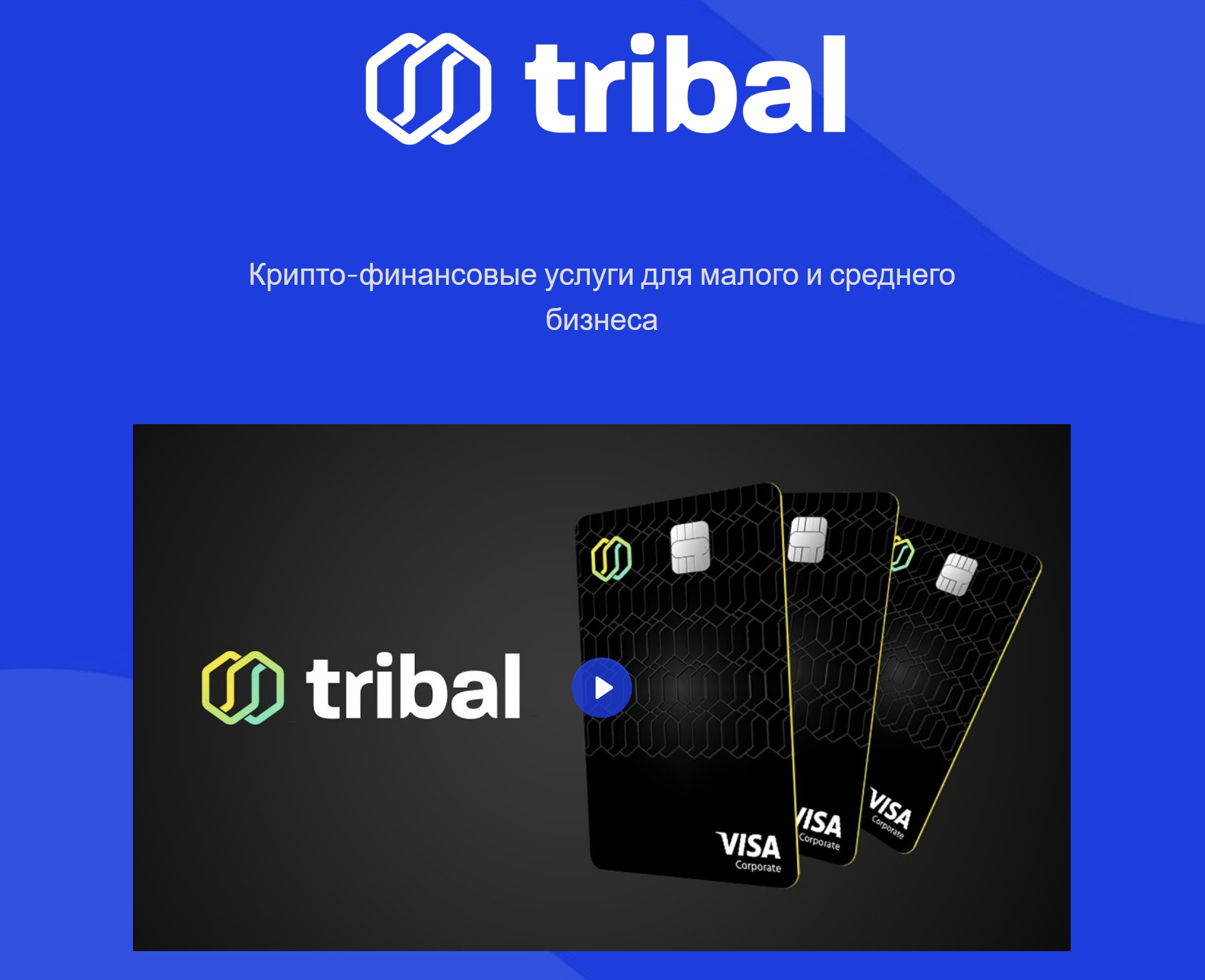 Токенсейл на Coinlist — Tribal (TRIBL). Ответы на тест (Quiz, вопросы)